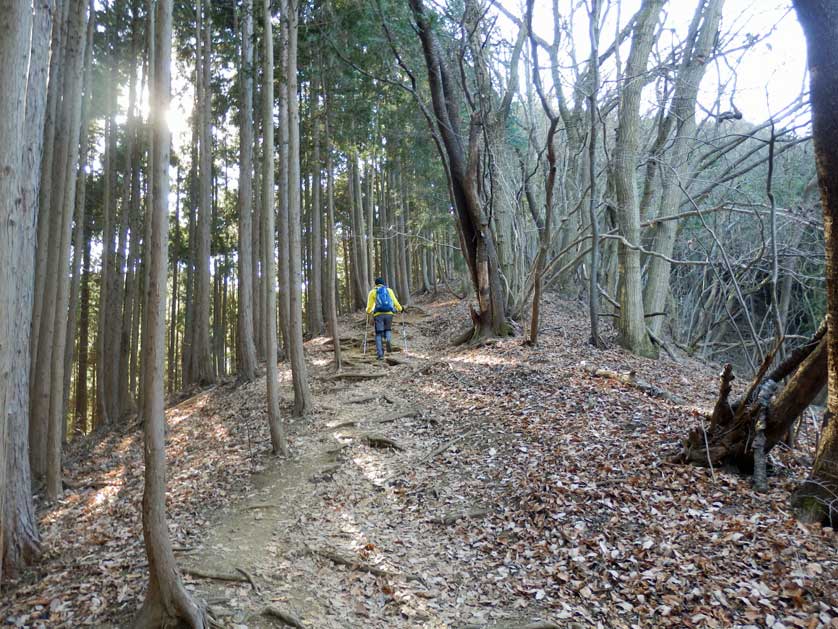 Mount Jinba, Hachioji, Tokyo.