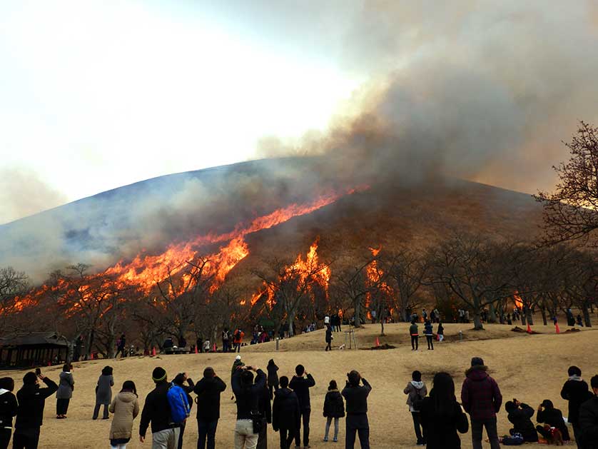 Mount Omuro Fire Festival, Izu.