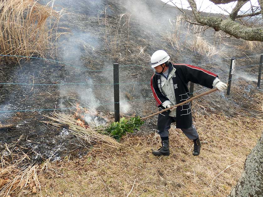 Mount Omuro Fire Festival, Izu.