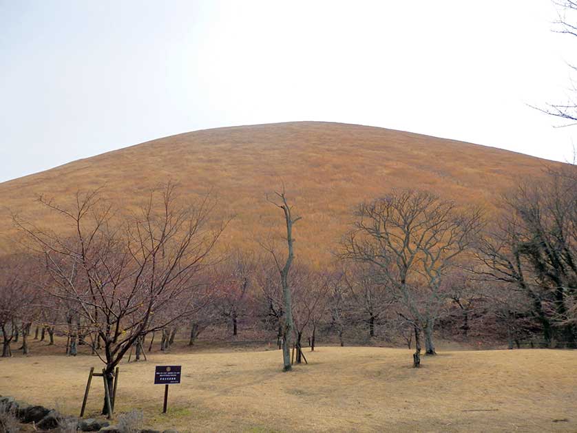 Mount Omuro, Izu.