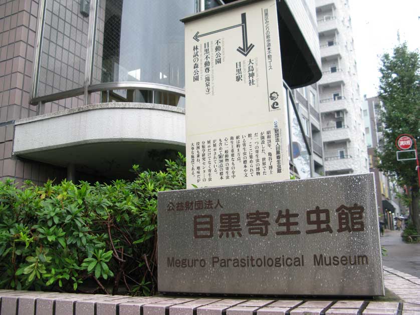 Meguro Parasitological Museum, Meguro, Tokyo.