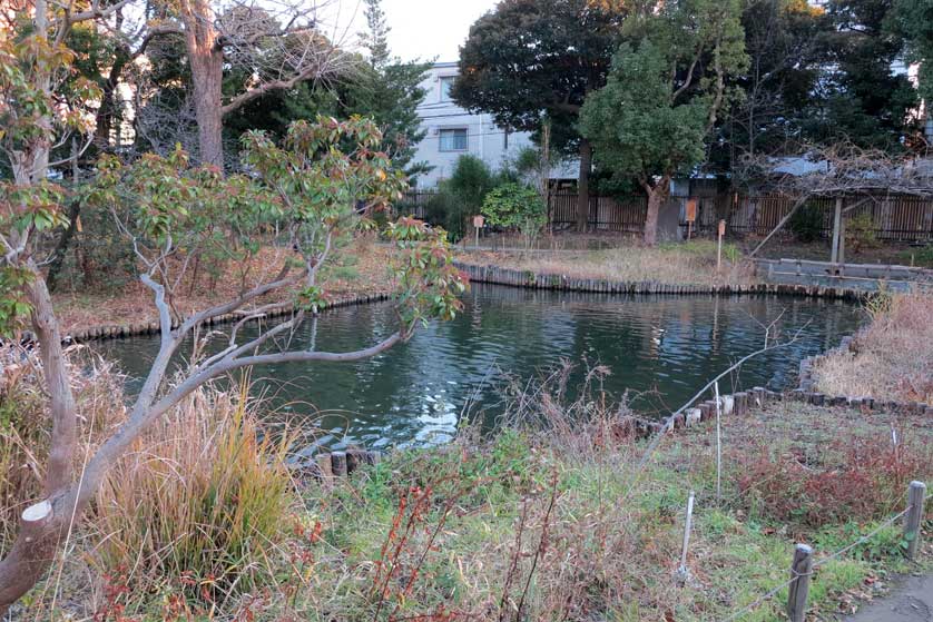Pond in Mukojima Hyakkaen Garden, Tokyo, Japan.