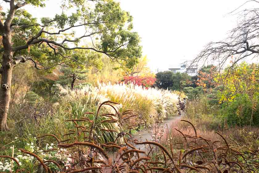 Mukojima-Hyakkaen Gardens, Higashi-Mukojima, Tokyo.