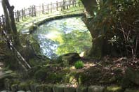 Vamji Pond at Muroji Temple, Nara.