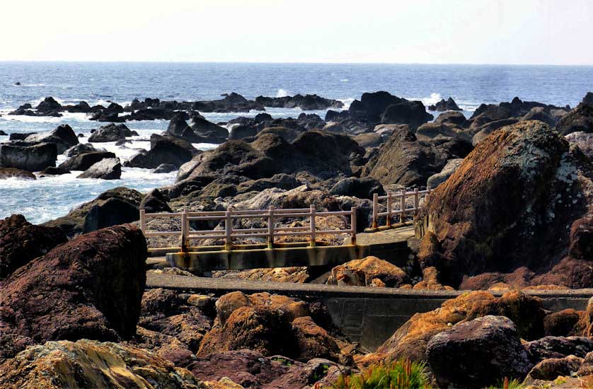 A nature trail out among the tide pools.