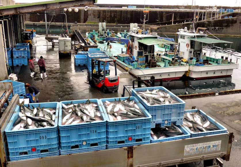 Fishing harbor, Shina, Shikoku, Japan.