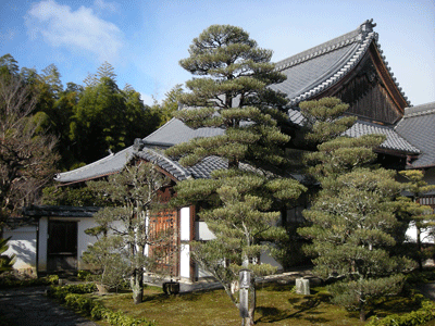 Kyoto Temple Stay