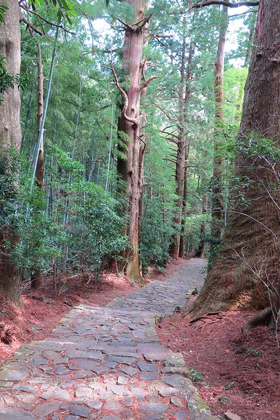 Daimonzaka, (Great Gate Slope), a 600 meter long stone-paved stairway winding up to Kumano Nachi Grand Shrine.