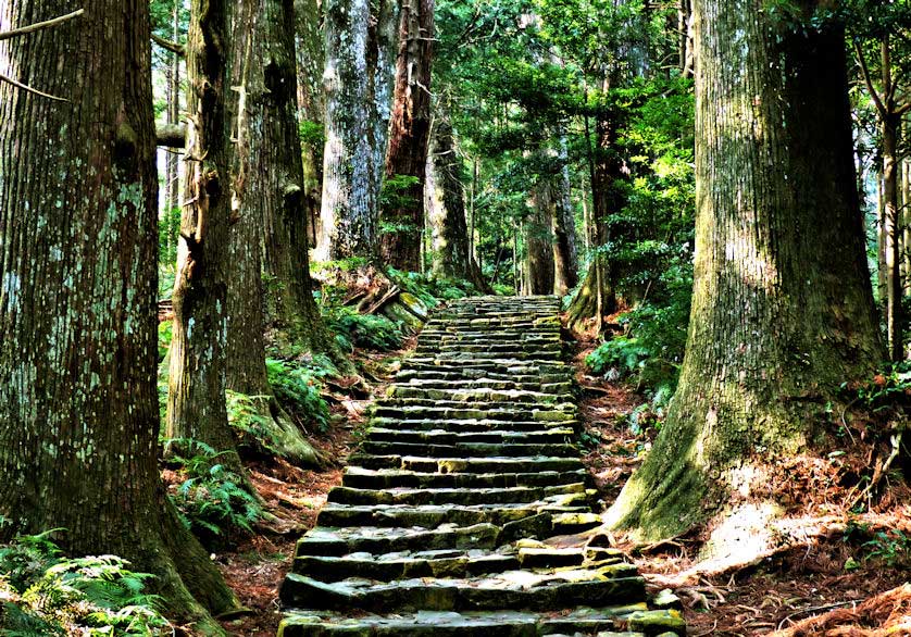 Daimonzaka, a 600 meter section of the Kumano Kodo leading to Nachi Taisha.