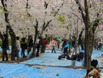 Tsurumai Park, Nagoya.