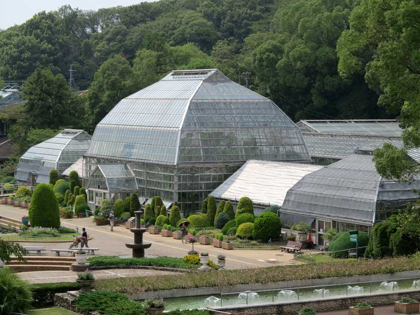 Nagoya Botanical Garden, Higashiyama Koen, Chikusa-ku