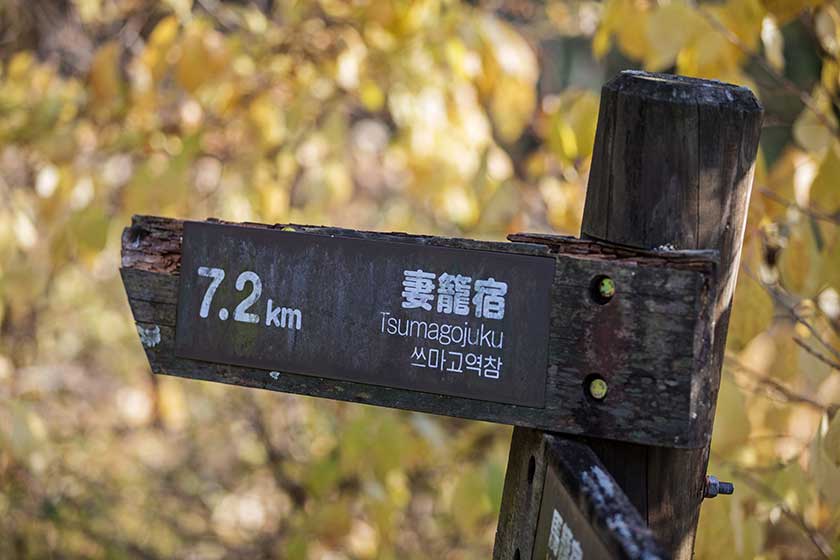 Walking the Nakasendo.