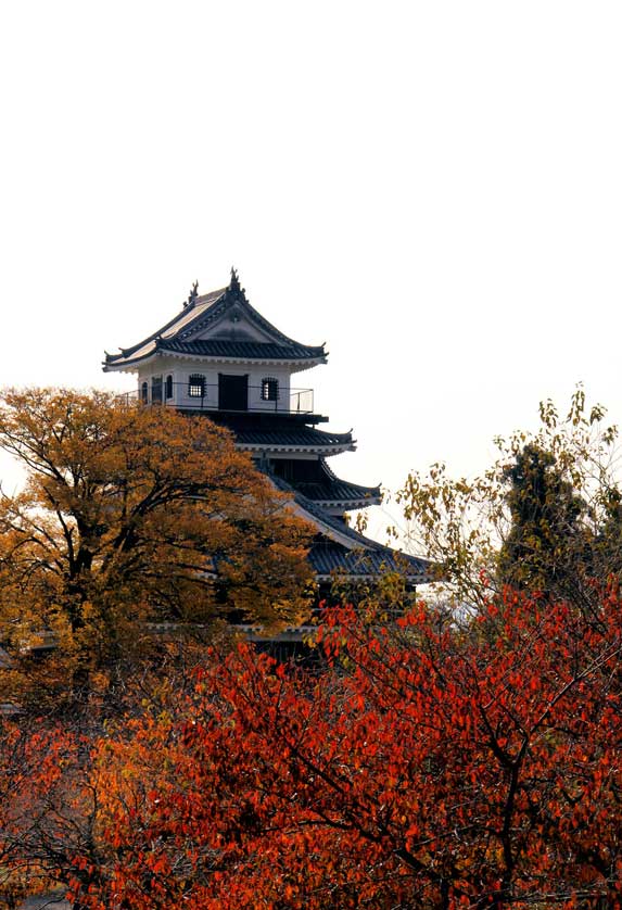 Nakatsu Castle.