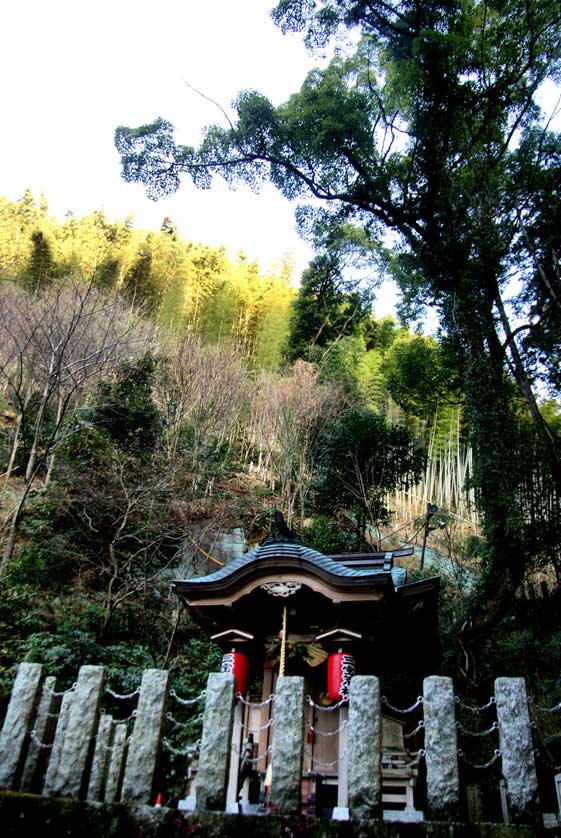 Nanzoin Temple grounds in Fukuoka, Japan.