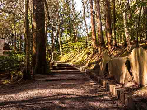 Forest in Narita-san Park, Naritasan Temple, Narita, Japan.