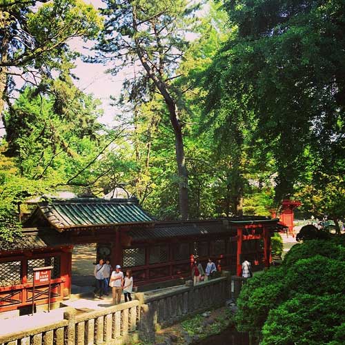 Nezu Shrine, Tokyo.