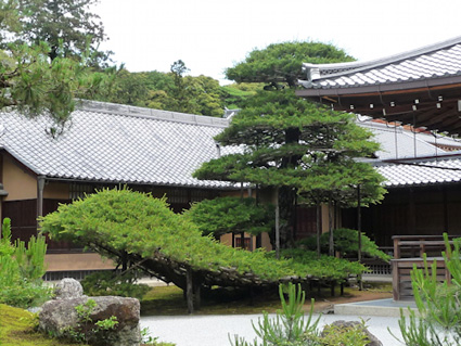 Nijo Castle, Kyoto, Japan.