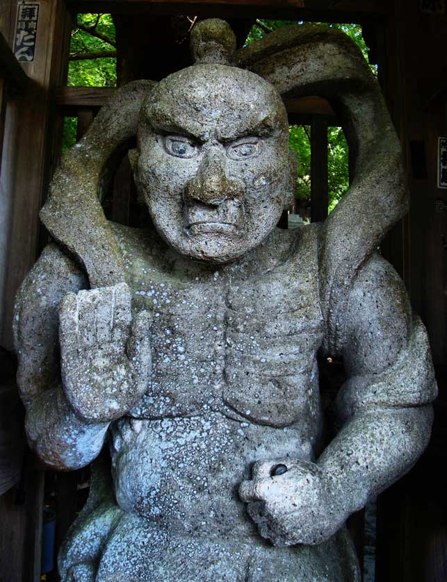 The stone Nio found all over the Kunisaki Peninsula in Oita are simpler in form than most wooden ones, but exhibit a great diversity of forms.