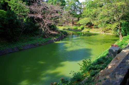 Nishio Castle, Aichi Prefecture.