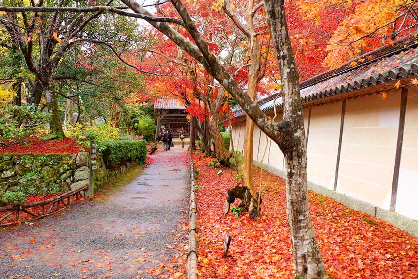 Nisonin Temple, Arashiyama, Kyoto.
