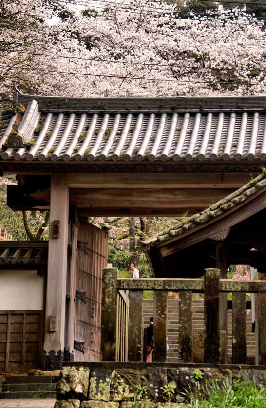 Nobeoka Castle, Miyazaki, Japan.