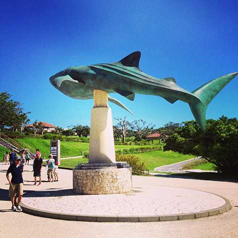 Ocean Expo Park, Okinawa, Japan.