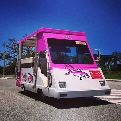 Minibus transport at Ocean Expo Park, Okinawa, Japan.