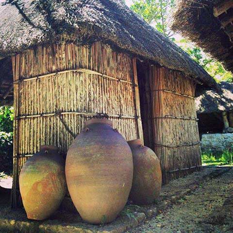 Native Okinawan Village, Ocean Expo Park, Okinawa, Japan.