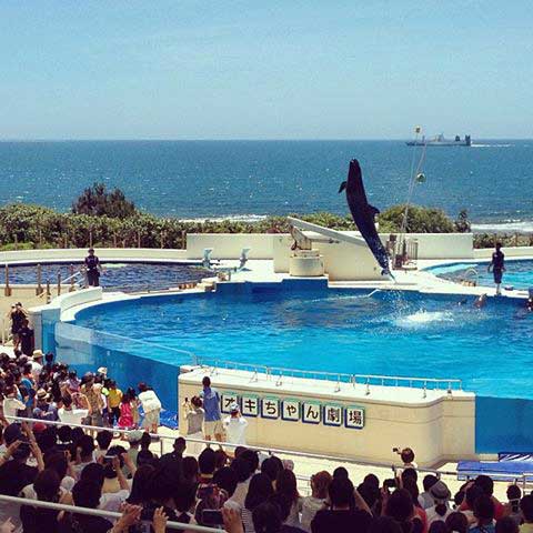 Okichan Theater, Ocean Expo Park, Okinawa, Japan.