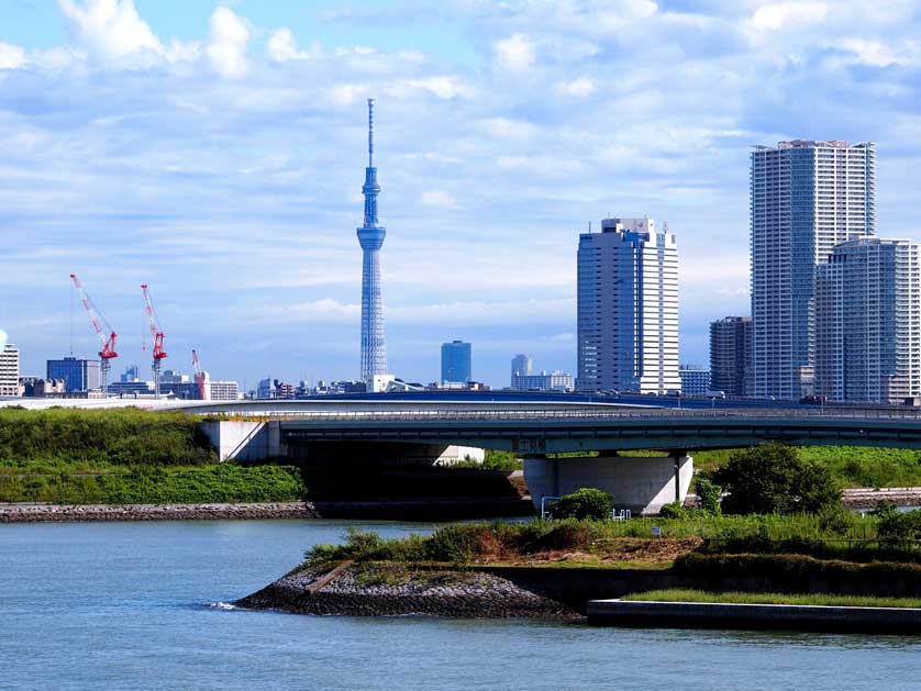 View of Tokyo Skytree from Odaiba.