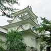 Ogaki Castle.