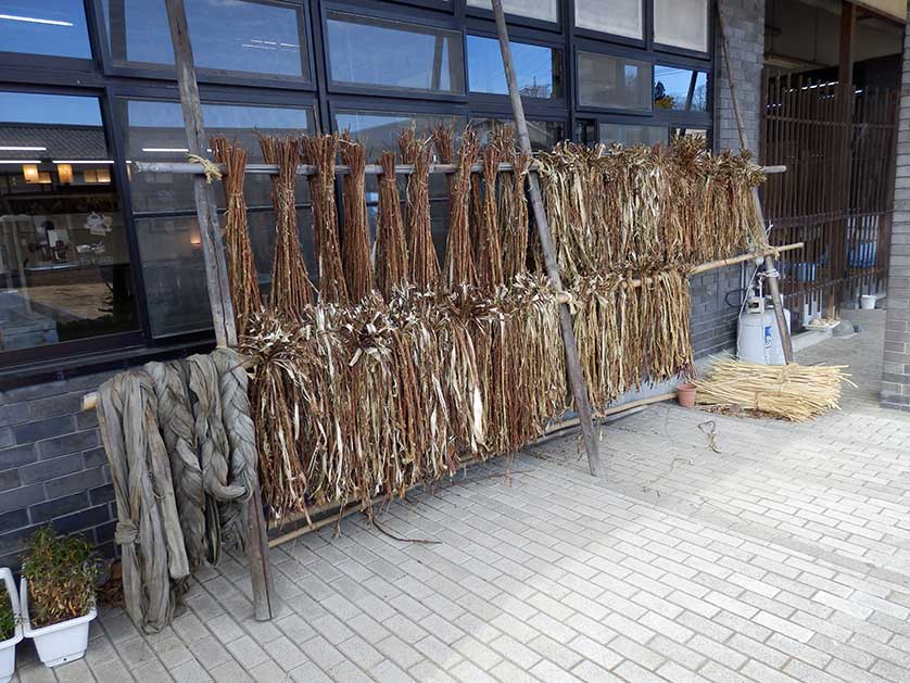 Paper Mulberry bark left to dry outside the Saitama Craft Center, Ogawa, Saitama.