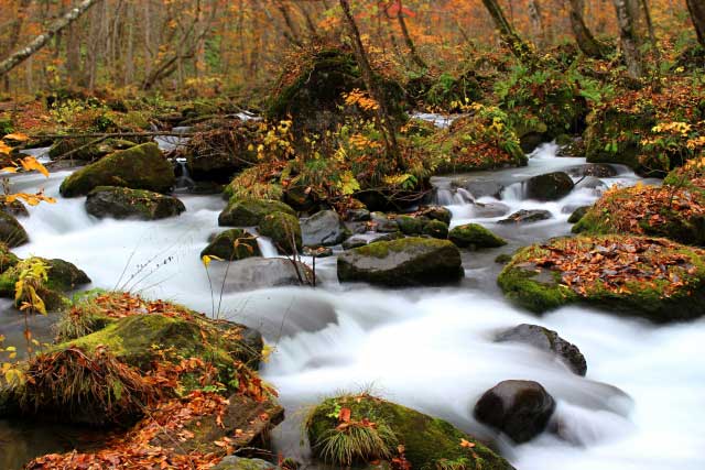 Oirase Gorge, Aomori.