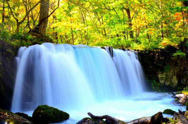 Oirase Gorge rapids.