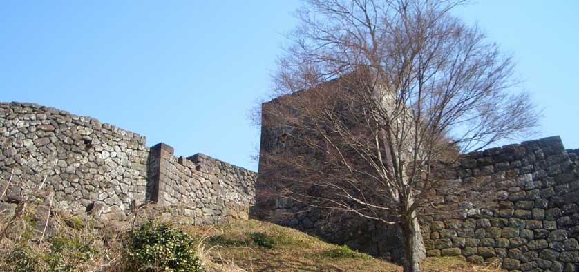Oka Castle walls.