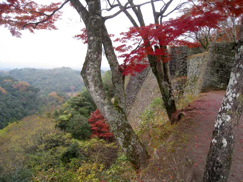 Autumn leaves on Oka Castle wall.