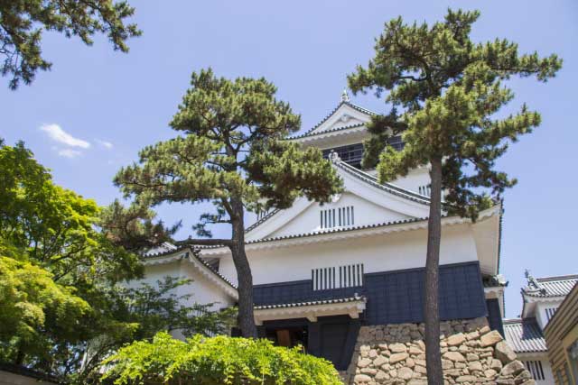 Okazaki Castle, Okazaki, Aichi.