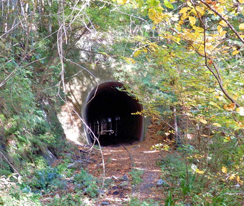 Old railway tunnel close to the Okutama Mukashi Michi, Tokyo, Japan.