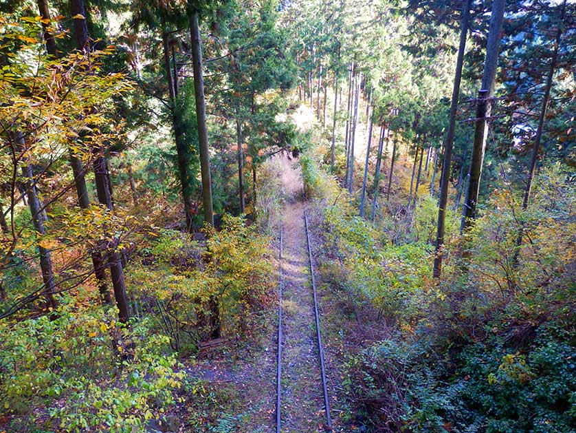 Abandoned railway tracks seen from the Okutama Mukashi Michi, Tokyo, Japan.