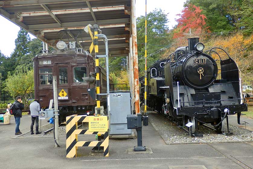 Electric and steam trains on display at Ome Railway Park, Tokyo.