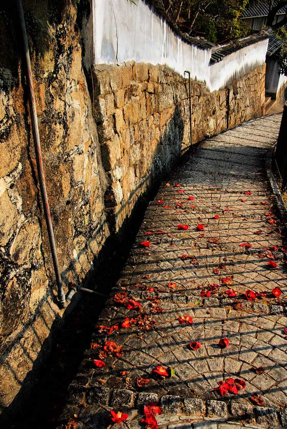 Onomichi Temple Walk.