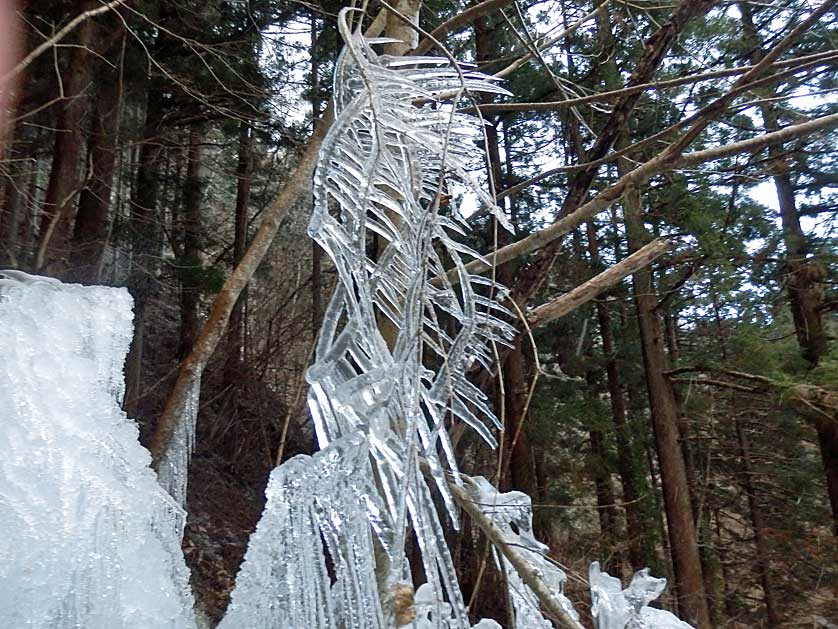 Onouchihyakkei Icicles, Chichibu, Saitama.