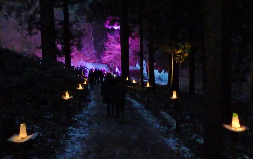 Onouchihyakkei Icicles, Chichibu, Saitama.