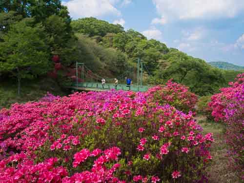 Orihime Park, Ashikaga.
