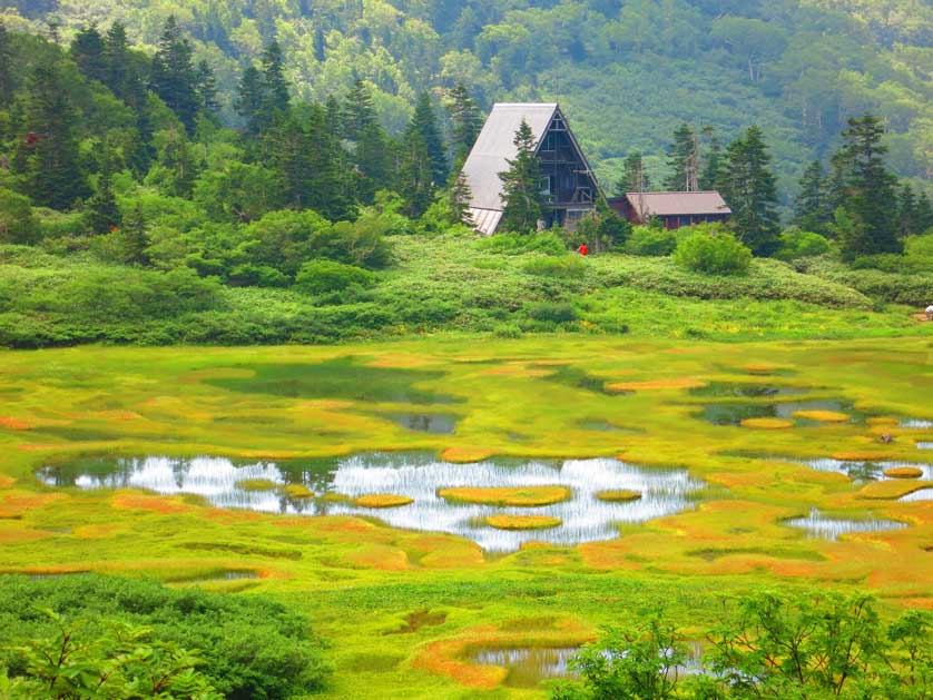 Oze Marsh, Japan.