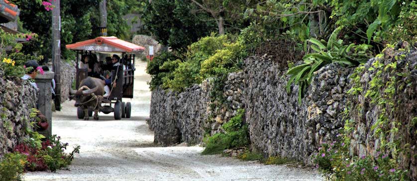 Taketomi, Okinawa, Japan.