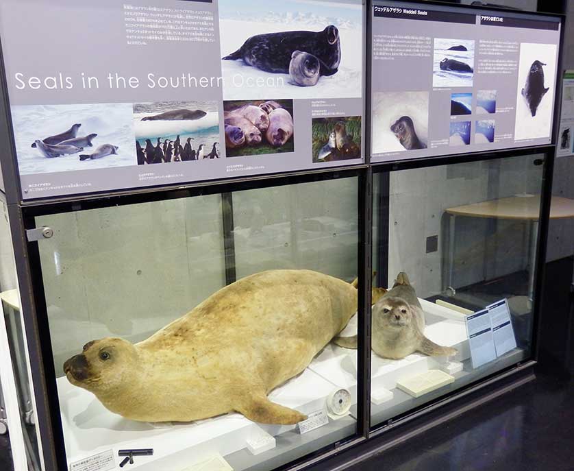 Polar Science Museum, Tachikawa, Tokyo.