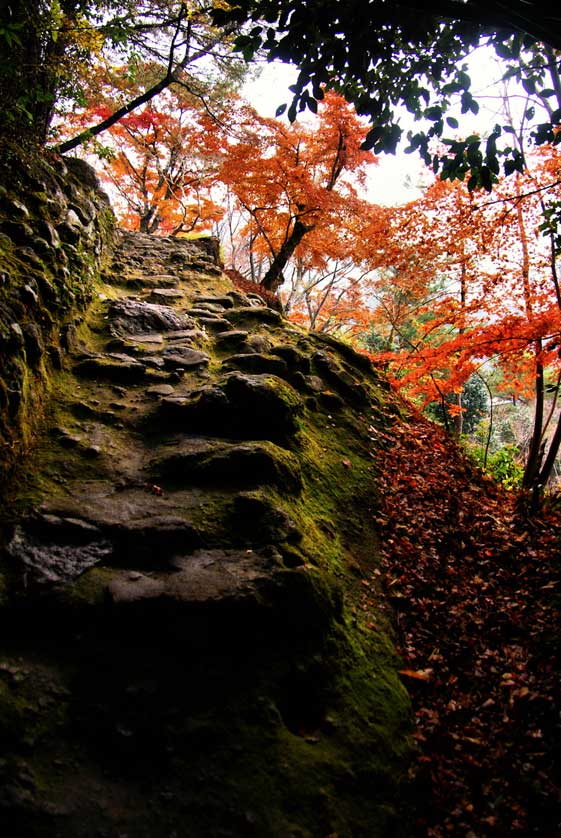 Rakanji Temple, Nakatsu, Oita.