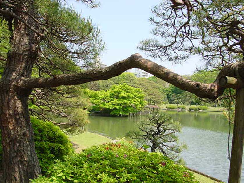 Rikugien Gardens, Tokyo.