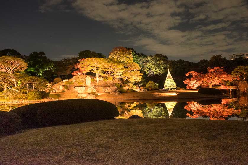 The garden illuminated at night.